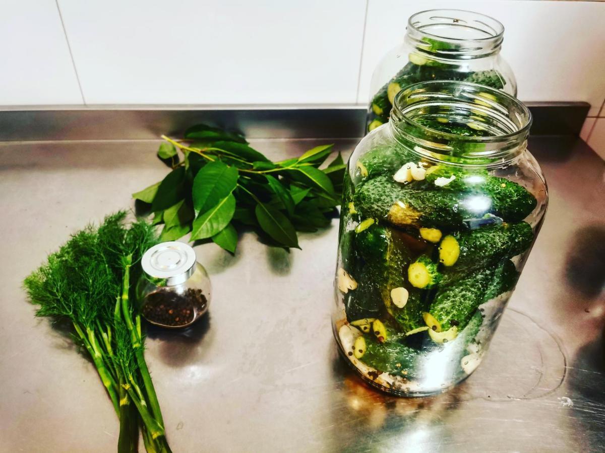 Teşila Doftana Apartaments מראה חיצוני תמונה