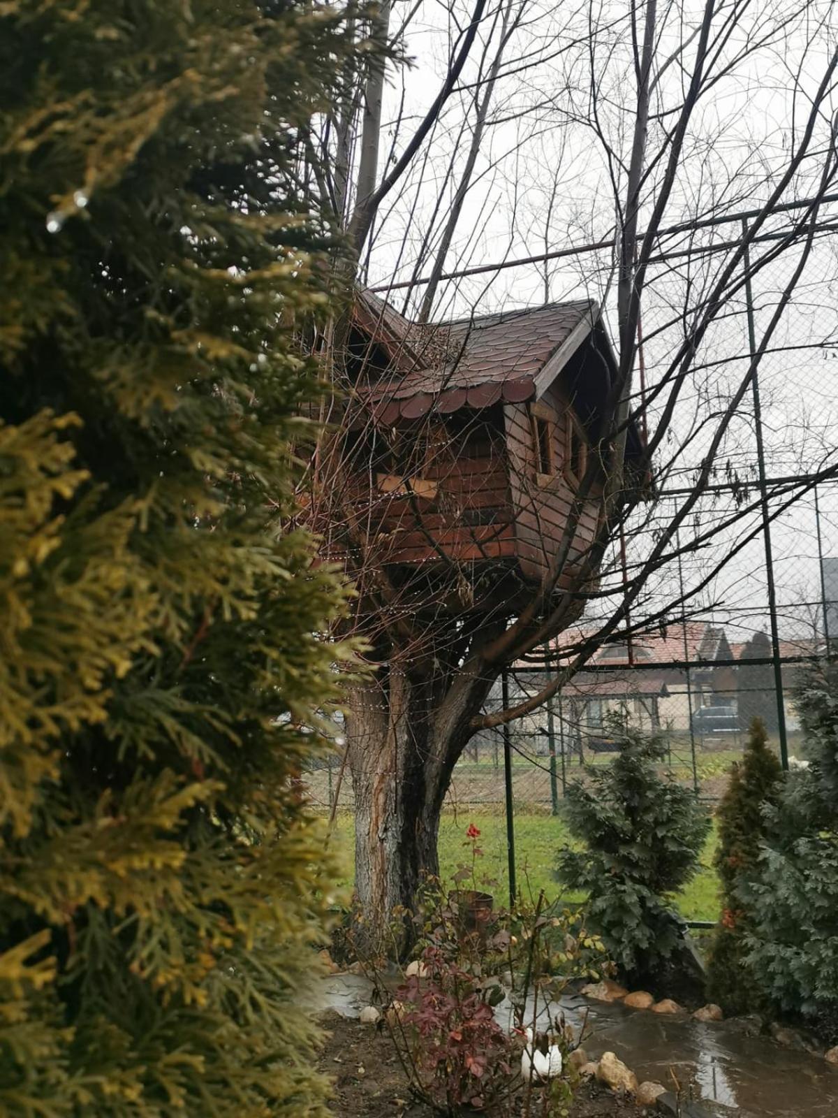 Teşila Doftana Apartaments חדר תמונה