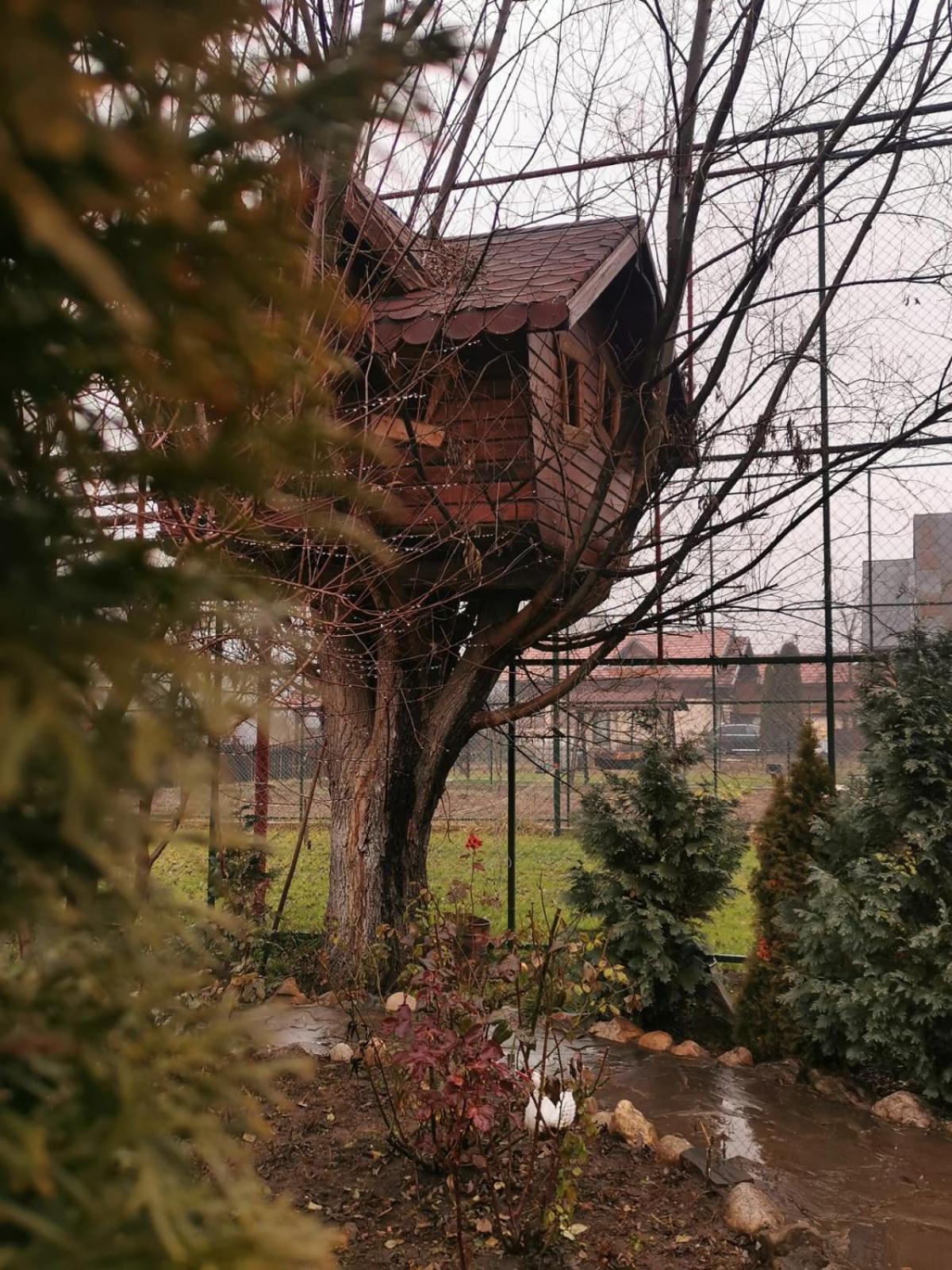 Teşila Doftana Apartaments חדר תמונה
